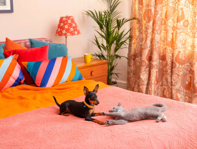 Cat and dog on a pink bed